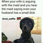 funny dog | image tagged in funny dog,octavia_melody,dashhopes,raydog,craziness_all_the_way | made w/ Imgflip meme maker