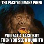 Taco Troll | THE FACE YOU MAKE WHEN; YOU EAT A TACO BUT THEN YOU SEE A BURRITO | image tagged in taco troll | made w/ Imgflip meme maker
