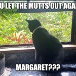 The Inimitable Jinx | YOU LET THE MUTTS OUT AGAIN, MARGARET??? | image tagged in the inimitable jinx | made w/ Imgflip meme maker