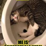 IDIOT | WHAT? ME IS COMFORTABLE HERE! | image tagged in idiot | made w/ Imgflip meme maker