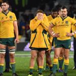 Wallabies lose