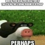 Perhaps Cow | WHEN YOU ASK THE REALTOR IF THE TV IN THE LIVING ROOM IS A PROP | image tagged in perhaps cow | made w/ Imgflip meme maker