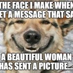 That face | THE FACE I MAKE WHEN I GET A MESSAGE THAT SAYS; A BEAUTIFUL WOMAN HAS SENT A PICTURE.... | image tagged in happy face | made w/ Imgflip meme maker