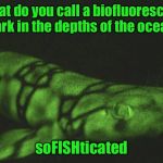 Introducing RayFish, thanks to VagabondSouffle for the discovery | What do you call a biofluorescent shark in the depths of the ocean? soFISHticated | image tagged in rayfish,memes | made w/ Imgflip meme maker