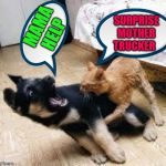 Cat Dog Fight | MAMA HELP; SURPRISE MOTHER TRUCKER | image tagged in cat dog fight | made w/ Imgflip meme maker
