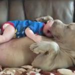 Dog and infant