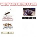 Worst pains known to man meme