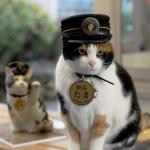 Tama the train station manager