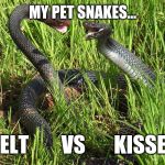 Kisses | MY PET SNAKES... BELT        VS       KISSES | image tagged in kisses | made w/ Imgflip meme maker