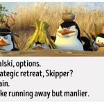 Kowalski, options