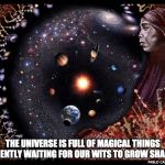 PABLO CARLOS BUDASSI OBSERVABLE UNIVERSE ANDES WOMAN | THE UNIVERSE IS FULL OF MAGICAL THINGS
 PATIENTLY WAITING FOR OUR WITS TO GROW SHARPER; PABLO CARLOS BUDASSI | image tagged in pablo c budassi observable universe andes woman | made w/ Imgflip meme maker