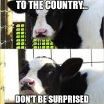 cows | IF YOU MOVE TO THE COUNTRY... DON'T BE SURPRISED WHEN YOU SMELL DAIRY AIR. | image tagged in cows | made w/ Imgflip meme maker