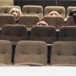 Dogs at the movies