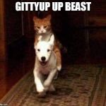 catdog | GITTYUP UP BEAST | image tagged in catdog | made w/ Imgflip meme maker