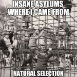 Monkey Bars | THERE WERE NO
INSANE ASYLUMS 
WHERE I CAME FROM; NATURAL SELECTION TOOK PLACE DAILY AT RECESS | image tagged in monkey bars | made w/ Imgflip meme maker