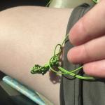 A really big knot