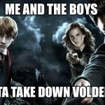 Harry Potter Wands | ME AND THE BOYS; BOUTTA TAKE DOWN VOLDEMORT | image tagged in harry potter wands | made w/ Imgflip meme maker