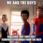 No more SpiderMan in the Mcu??? | ME AND THE BOYS; REALIZING THAT SONY JUST REMOVED SPIDERMAN FROM THE MCU | image tagged in me and the spider boys,me and the boys week,spiderman,tom holland,mcu | made w/ Imgflip meme maker