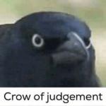 Crow of judgement meme