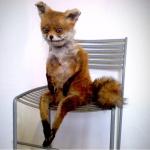 TAXIDERMY FOX