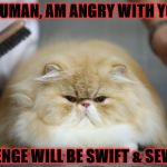 I'M ANGRY | I, HUMAN, AM ANGRY WITH YOU! REVENGE WILL BE SWIFT & SEVERE! | image tagged in i'm angry | made w/ Imgflip meme maker
