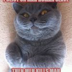 MEH KILLS | MEH TAKES OUT LIFE INSURANCE POLICY ON MAH HUMAN SLAVE; THEN MEH KILLS MAH HUMAN SLAVE FOR TEH MONEY! | image tagged in meh kills | made w/ Imgflip meme maker