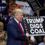Trump coal