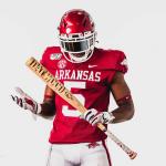 Hogs
