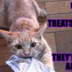GIVE EM TO ME | GIVE ME THESE TREATS SLAVE! LET GO SLAVE THEY'RE MINE ALL MINE! | image tagged in give em to me | made w/ Imgflip meme maker