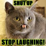 SHUT UP | SHUT UP; STOP LAUGHING! | image tagged in shut up | made w/ Imgflip meme maker