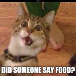 Excited cat | DID SOMEONE SAY FOOD? | image tagged in excited cat | made w/ Imgflip meme maker