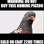 Consumer Protection Announcement | WARNING: DO NOT BUY THIS HOMING PIGEON; SOLD ON EBAY 22ND TIMES | image tagged in pigeon,home,ebay | made w/ Imgflip meme maker