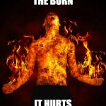 Man on fire | THE BURN; IT HURTS | image tagged in man on fire | made w/ Imgflip meme maker