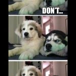 Two dogs bad joke | DON’T... GOOD MORNING!!! I HATE YOU | image tagged in two dogs bad joke | made w/ Imgflip meme maker