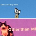 No god up here cat | SOY | image tagged in no god up here cat | made w/ Imgflip meme maker