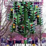 Traffic Light tree | WHAT GETTING SIGNALS; FROM MY GIRL BE LIKE... | image tagged in traffic light tree | made w/ Imgflip meme maker