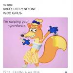 the Vsco girls are rising meme