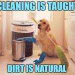 Weaned to Clean | CLEANING IS TAUGHT; DIRT IS NATURAL | image tagged in house cleaning,housework,lol so funny,learning,old dog new tricks,so true memes | made w/ Imgflip meme maker