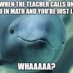 I didn't have my hand up | WHEN THE TEACHER CALLS ON YOU IN MATH AND YOU'RE JUST LIKE; WHAAAAA? | image tagged in porpoise | made w/ Imgflip meme maker