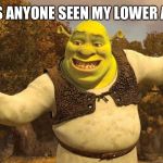 Shrek | HAS ANYONE SEEN MY LOWER ABS | image tagged in shrek | made w/ Imgflip meme maker