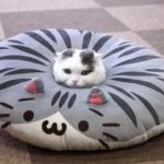 Cat pillow cat
