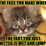 FACE YOU MAKE | THE FACE YOU MAKE WHEN; THE FART YOU JUST EMITTED IS WET AND LUMPY! | image tagged in face you make | made w/ Imgflip meme maker