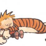 Calvin and Hobbes