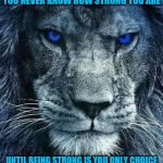 detroit lions | YOU NEVER KNOW HOW STRONG YOU ARE; UNTIL BEING STRONG IS YOU ONLY CHOICE | image tagged in detroit lions | made w/ Imgflip meme maker