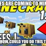 NoOo ThE BeEeEz!!111!!!1111 | SEES BEES ARE COMING TO MINECRAFT; MOJANG HOW COULD YOU DO THIS TO MEEE!? | image tagged in nooo the beeeez1111111 | made w/ Imgflip meme maker