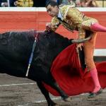 Bullfighter getting gored in crotch