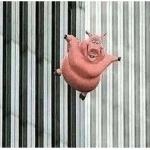 Pig jumping off meme