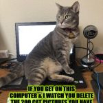 NO HUMAN | NO HUMAN NO; IF YOU GET ON THIS COMPUTER & I WATCH YOU DELETE THE 200 CAT PICTURES YOU HAVE OF OTHER CATS ON HERE THEN YOU MAY PLAY BUT UNTIL THEN NO! | image tagged in no human | made w/ Imgflip meme maker