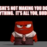 See What You Made Me Do | SHE'S NOT MAKING YOU DO ANYTHING.  IT'S ALL YOU, BUDDY. | image tagged in anger,domestic abuse,domestic violence,rotten,memes,but that's not my fault | made w/ Imgflip meme maker
