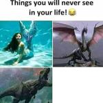 Things you will never see in your life meme